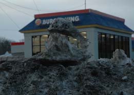 snow alien